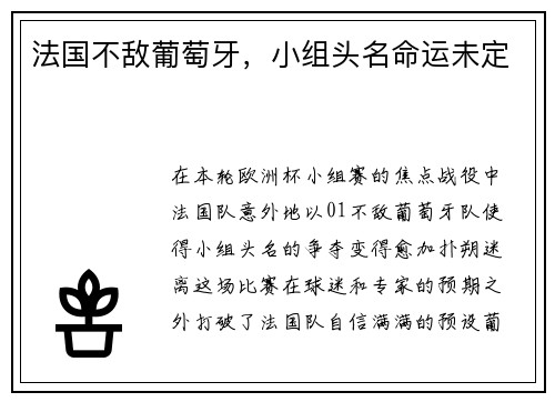 法国不敌葡萄牙，小组头名命运未定