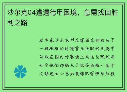 沙尔克04遭遇德甲困境，急需找回胜利之路